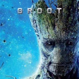 Ben Groot